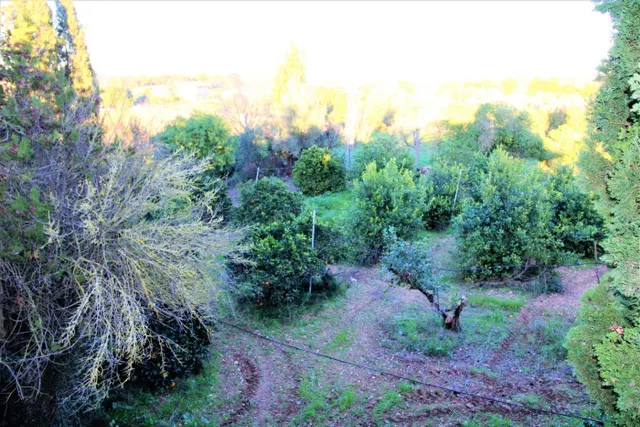 Finca Rústica en Llubí — 19