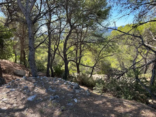 TERRENO EN ALBALAT DELS TARONGERS — 3