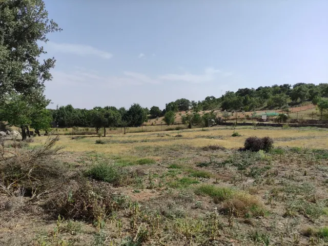 SE VENDE TERRENO URBANO EN URBANIZACIÓN FUENTE TAJUÑA DE LORANCA DE TAJUÑA (GUADALAJARA) — 42