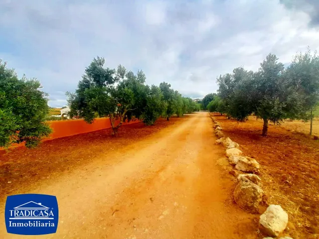 ARCOS DE LA FRONTERA, FINCA RÚSTICA DE 5.685M2, 2 CHALETS, BOXES Y ESTABLOS PARA CABALLOS — 9