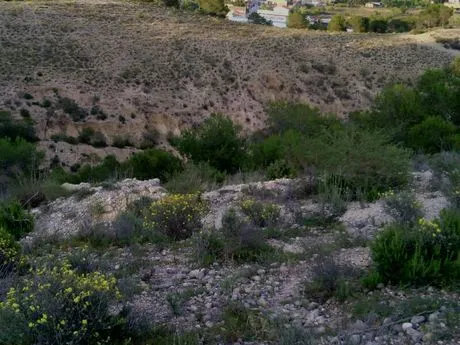 ++ESTUPENDO TERRENO URBANO++ — 6