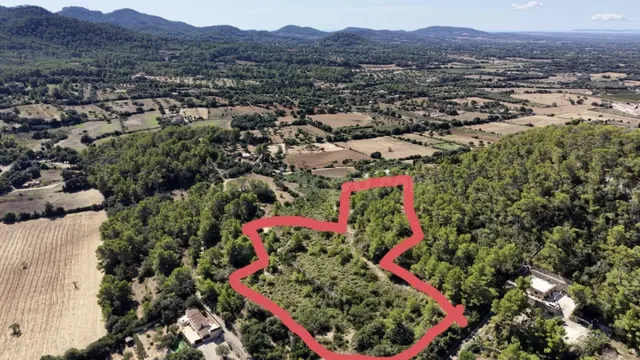 Terreno rústico de 10.000m2 en son quetlles, Felanitx — 3