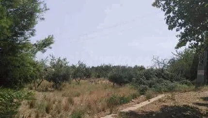 Terreno urbano 8332m² en venta - Pueblo - foto 2