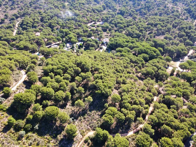 ¡¡PARCELA URBANA EN LAS JARAS!!! — 11