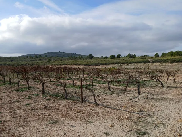 Parcela en venta - Yecla — 28