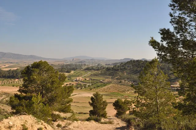 Parcela en venta - Jumilla - foto 3
