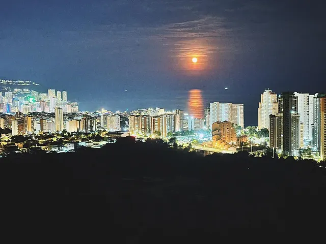 Piso en presidente adolfo suarez (playa poniente) — 29