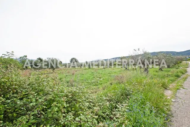AMPLIA PARCELA URBANIZABLE PROXIMA ORBA CENTRO — 3