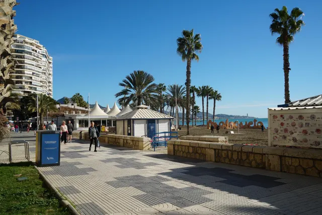 LOCAL COMERCIAL A LA VENTA EN LA MALAGUETA — 16