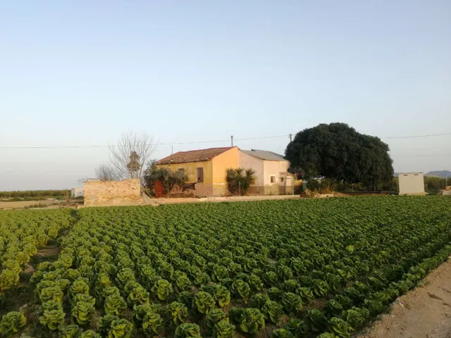 Villa 3 habitaciones 150m² en venta - Montepinar-La Aparecid