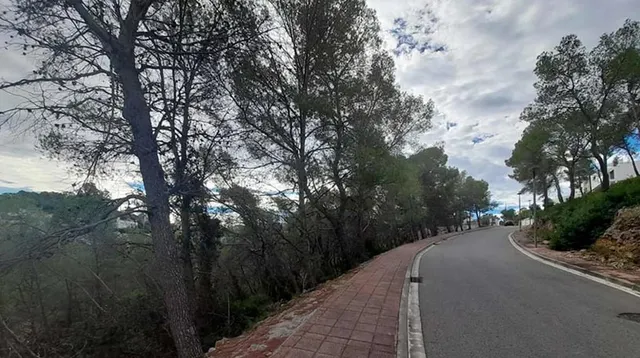 Parcela urbana consolidada en Mas Alba, Sant Pere de Ribes — 11