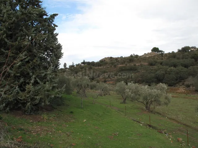 Finca de 7 Hectáreas con casa de campo en la Montaña - foto 4