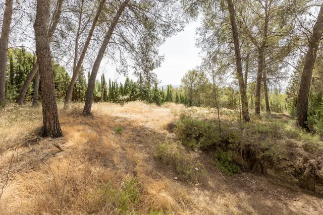 EXCLUSIVO TERRENO EN VENTA EN ALBOLOTE — 9