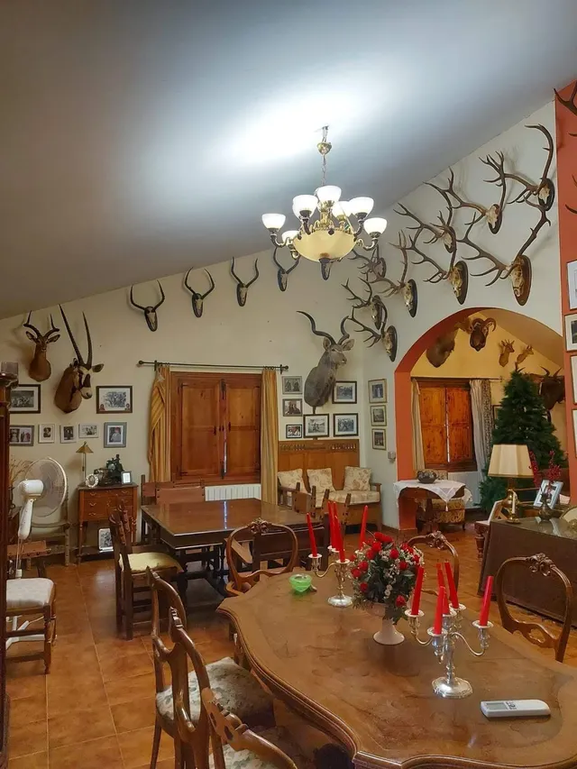 EXCLUSICA CASA EN ALDEA DEL CANO CON 8000 METROS DE PARCELA — 6