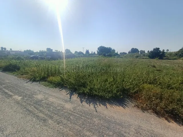 SE VENDE PARCELA RÚSTICA EN LORQUÍ - foto 5