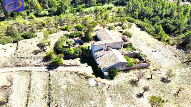 EN VENTA FINCA DE PASTOS EN YATOVA - foto 2