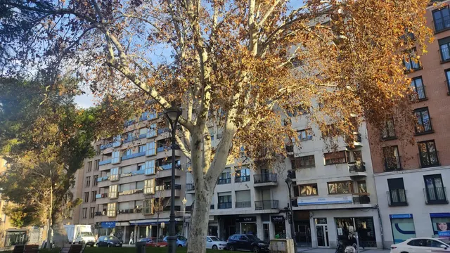 PISO ALQUILER AMUEBLADO EN PLAZA UNIVERSIDAD - VALLADOLID — 33