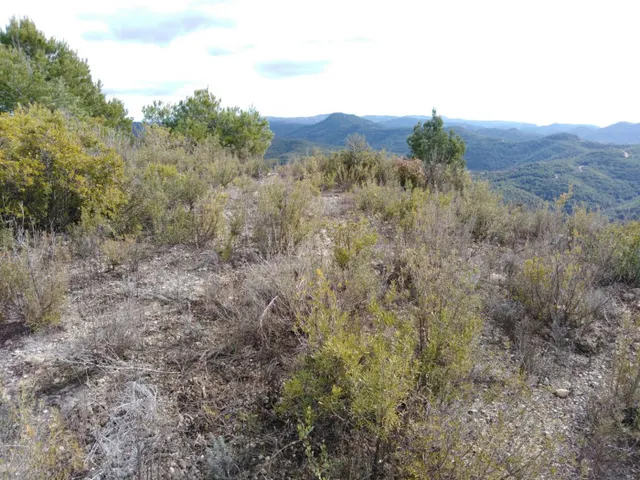 TERRENO EN VENTA EN RIVER PARK (EL PONT DE VILOMARA I ROCAFORT) — 2