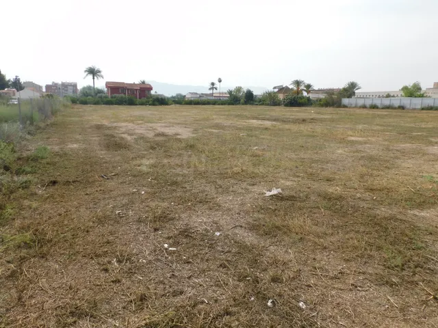 VENTA PARCELA DE HUERTA DE 8.323 M2 EN CRTA. ALICANTE