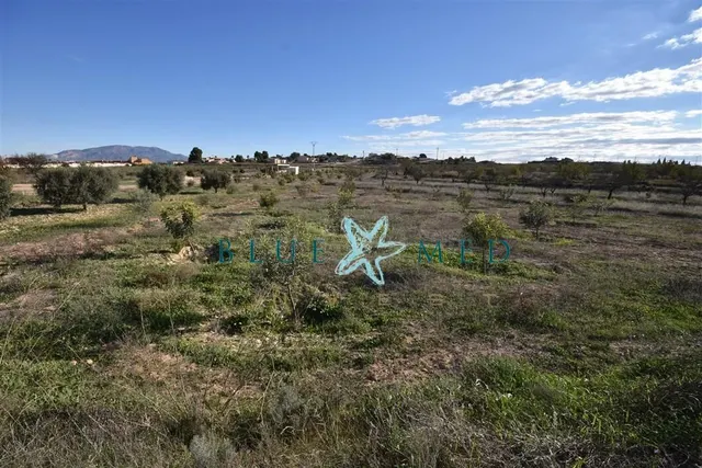 Parcela en el corazón de El Paretón. - foto 3