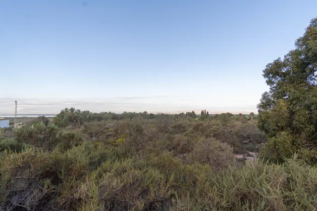Te gustaria tener  un terreno rústico en  la misma carretera de Santa Pola donde pasar los domingos? parcela de 12.445 m2 — 4