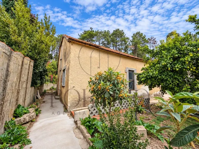 ¡Tu refugio en plena naturaleza! Casa para reformar en Salvatierra — 16