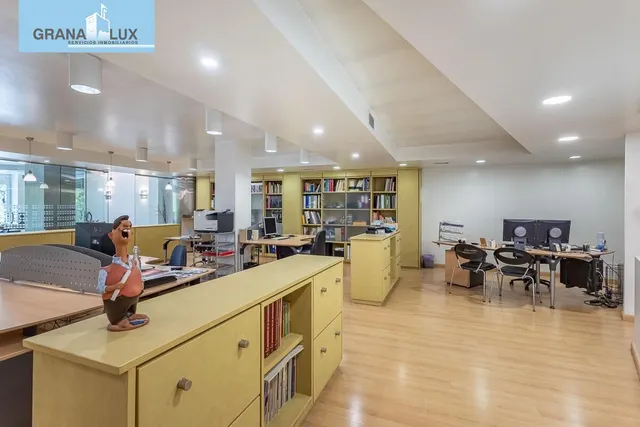 EXCLUSIVO INMUEBLE EN PLAZA DE CARRETAS, JUNTO AL EMBLEMÁTICO PASEO DEL SALÓN — 12