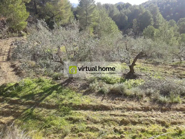 Terreno en venta, Polop.