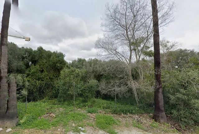Parcela 691m² en venta - Sotogrande Costa - foto 2