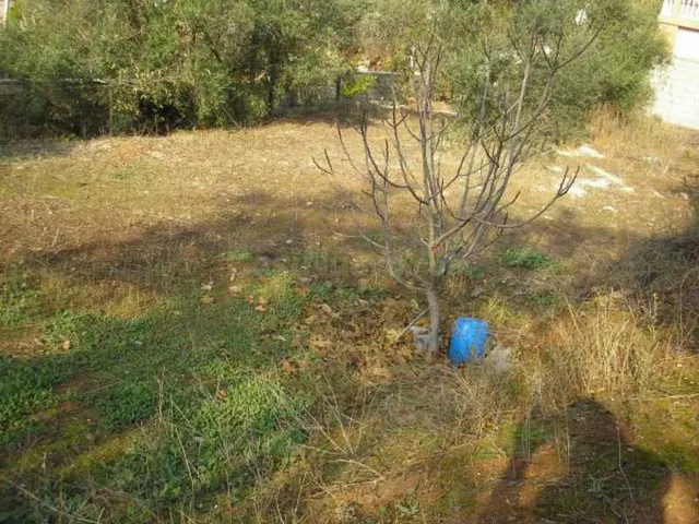Invierte en La Colina: terreno amplio y bien comunicado - foto 2