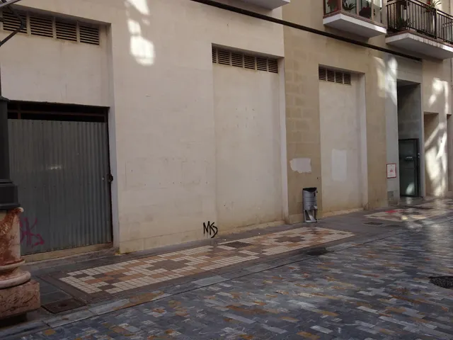 LOCAL COMERCIAL DE 945 M2 EN ZONA PEATONAL — 3