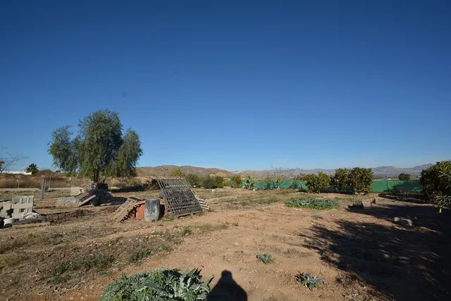 Magnífico chalet en Orihuela zona Urb. Montepinar, 344 m2. y parcela de 2737 m2. — 36