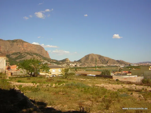 Estupenda finca de 12.441 m2 en Raiguero de Bonanza, pedanía de Orihuela (Alicante), a 2 Km. de Orihuela. — 2