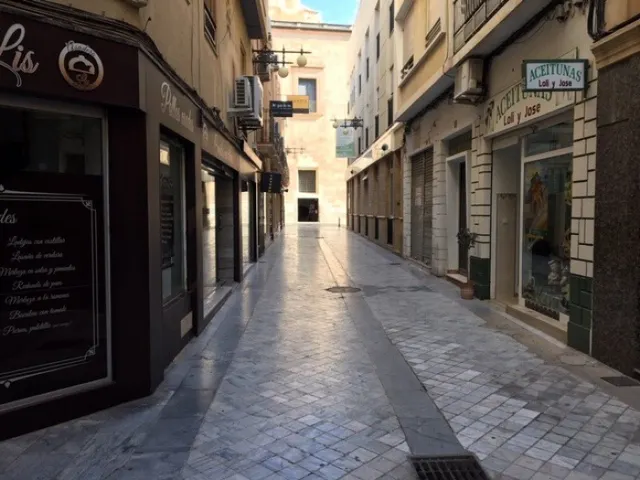 LOCAL COMERCIAL EN ELCHE, ZONA PLAZA DE LAS FLORES — 13