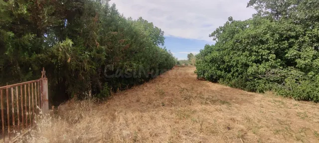 TERRENO URBANIZABLE SECTORIZADO EN ALMENSILLA — 3