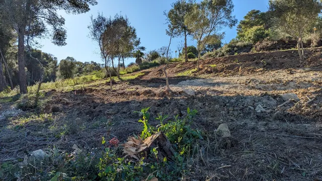 Parcela en venta - Sotogrande - Alto — 10