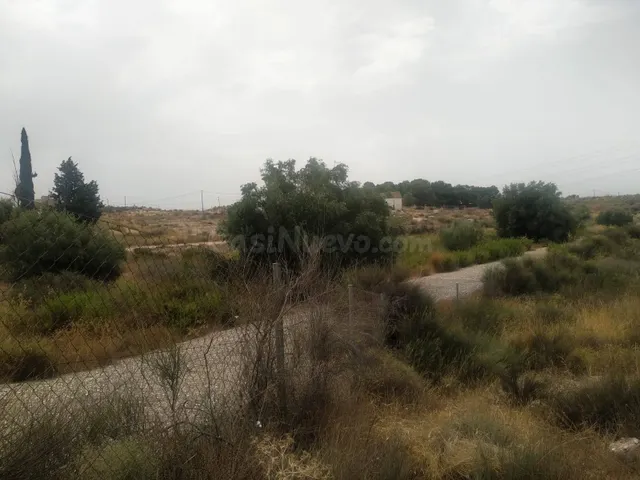 ¡Tu parcela de recreo o cultivo en La Albarda, a un paso de  - foto 2
