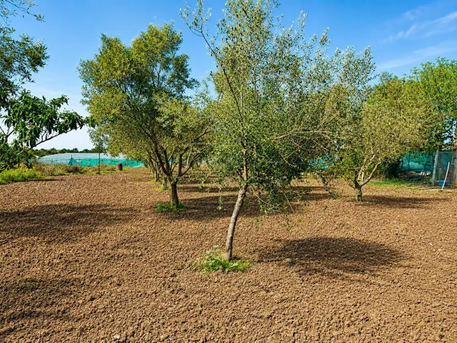 Preciosa casa con jardín en finca rústica — 27