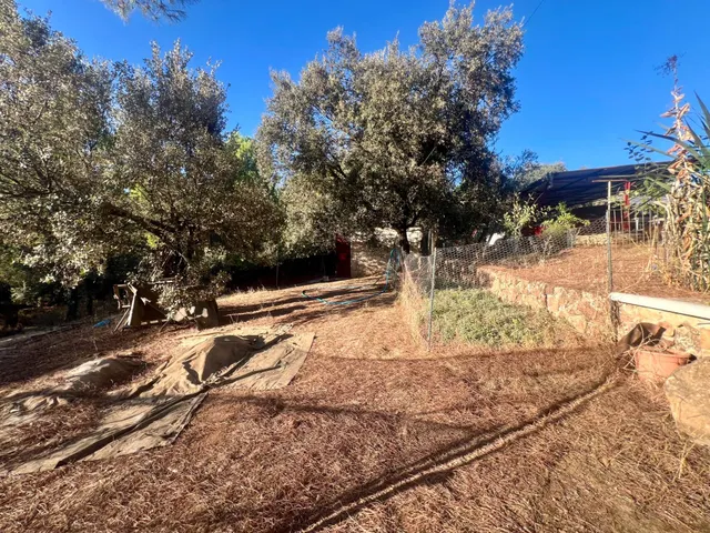 Finca en Villaviciosa de Córdoba – en pleno corazón de sierra morena — 5