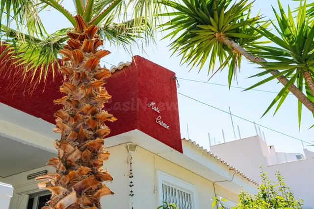 GRAN VILLA EN TORREVIEJA: 3 HAB, 2 BAÑOS - foto 2