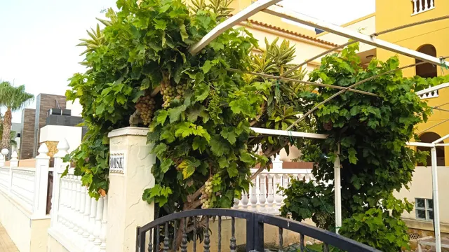 Bungalow en Planta Baja en Lomas de Cabo Roig – YC490563 — 22