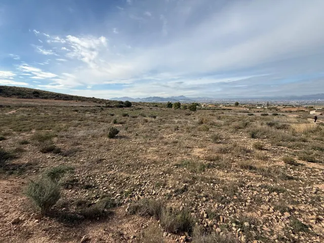 GRAN FINCA CON CASA PARA REFORMAR!!! — 10