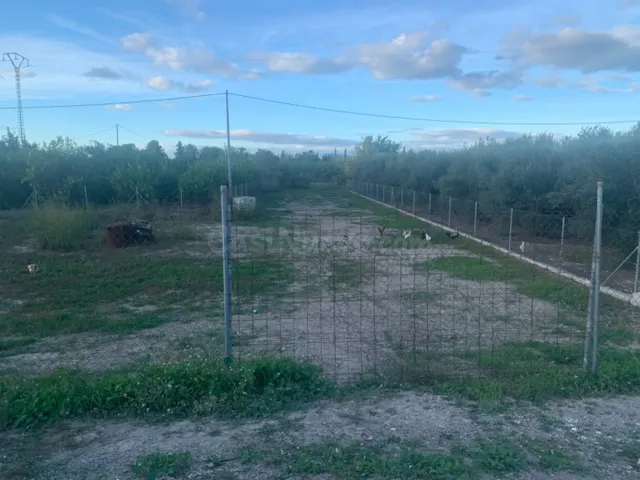 Parcela Urbana en plena huerta de Murcia - foto 4