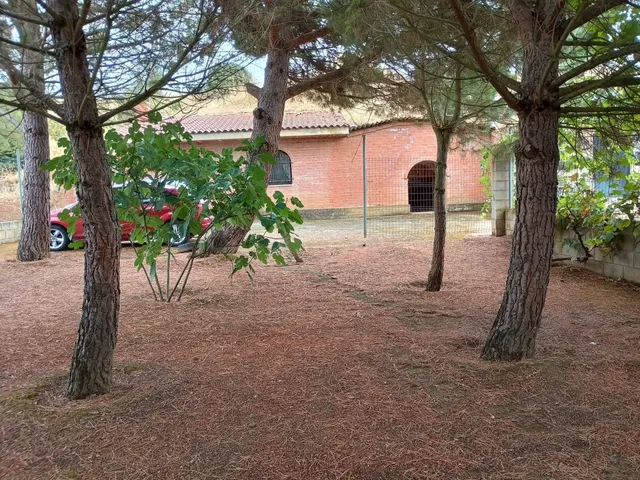 FINCA RUSTICA CON BODEGA - foto 4