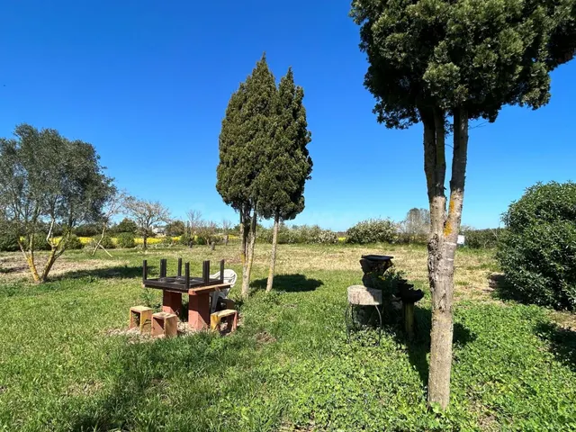 Huerto en venta a las afueras de Porreres - foto 2