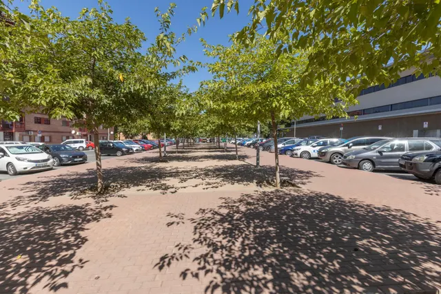 ⭐ LOCAL EN ESQUINA EN GRANADA CAPITAL – CREA TU PROPIO PROYECTO DESDE CERO — 16