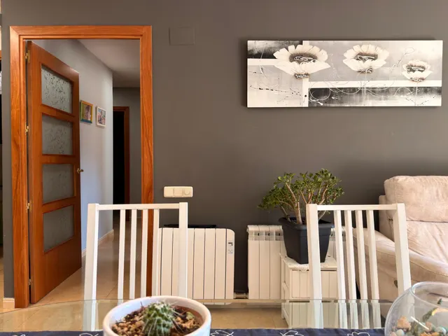 No pierdas el Sur — 11