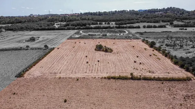 Terreno edificable entre Sineu y Petra - foto 4