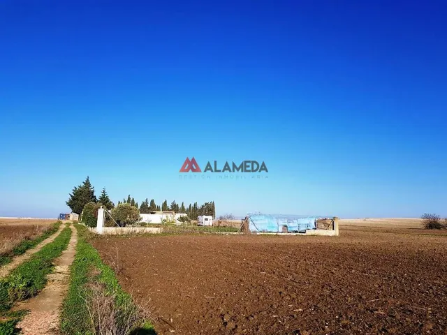 PARCELA SEGREGADA MIRALAMAR — 11