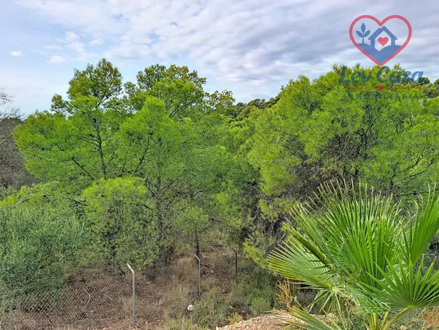 FINCA DE 10.400 M2 CON PISCINA EN SIERRA ESPUÑA — 120.000 € — 27